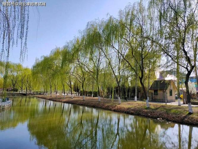 石家庄医专第六届“校园之春”师生网络摄影展 定格春色，镌刻校园记忆
